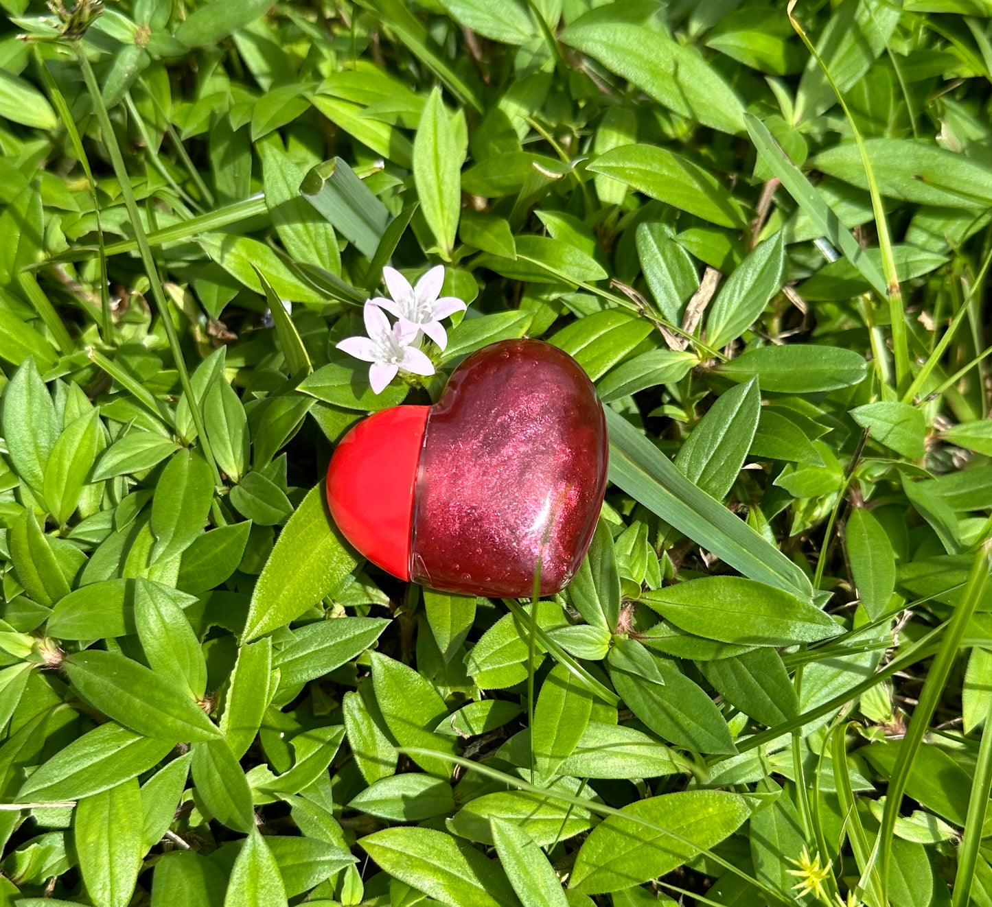 Maleficent’s Heart